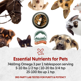 Barlean's Huile de Lin pour Animaux en usage avec un animal