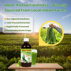 BASIC AYURVEDA Jus de Karela 480ml en situation d'utilisation