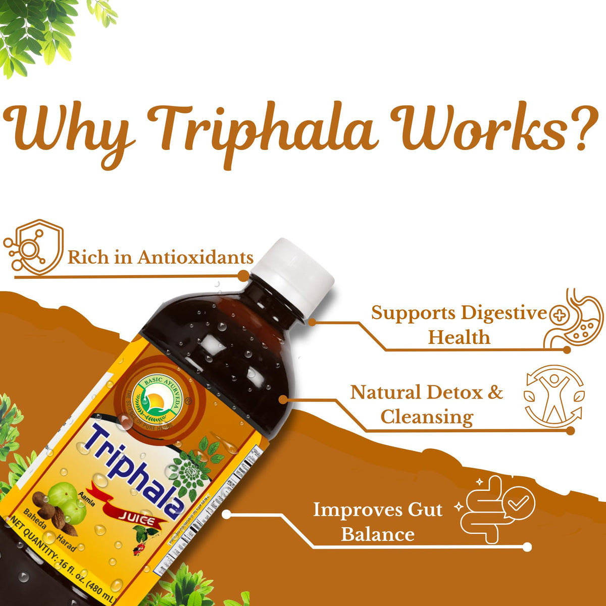 BASIC AYURVEDA Jus de Triphala 480ml arrière