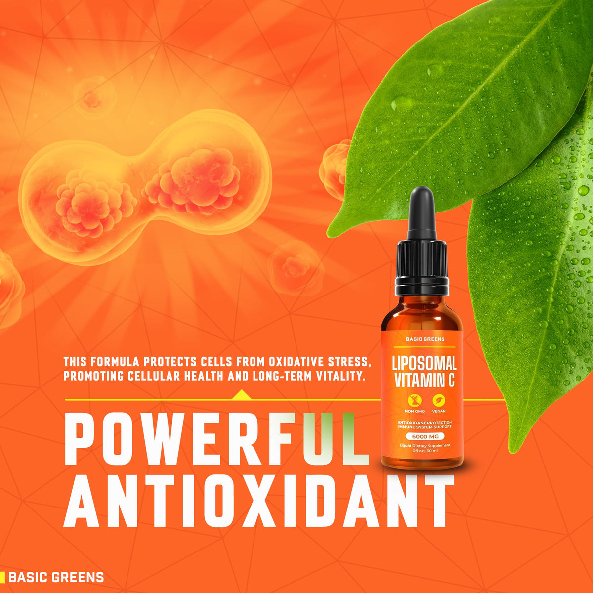 BASIC GREENS Vitamine C Liposomale 6000mg étiquette détaillée