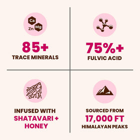Bâtonnets de miel Shilajit Natruveda avec résine de Shilajit