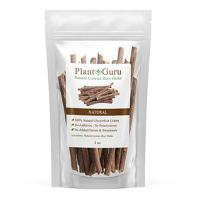 Bâtons de réglisse Plant Guru, vue avant, racines naturelles