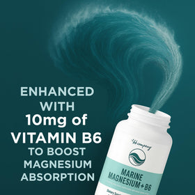 BB Company Magnésium Océan 200mg Aquamin 60 Capsules - mise en scène avec des ingrédients naturels