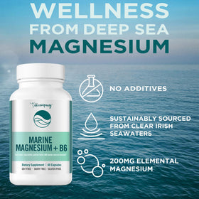 BB Company Magnésium Océan 200mg Aquamin 60 Capsules - vue de dos