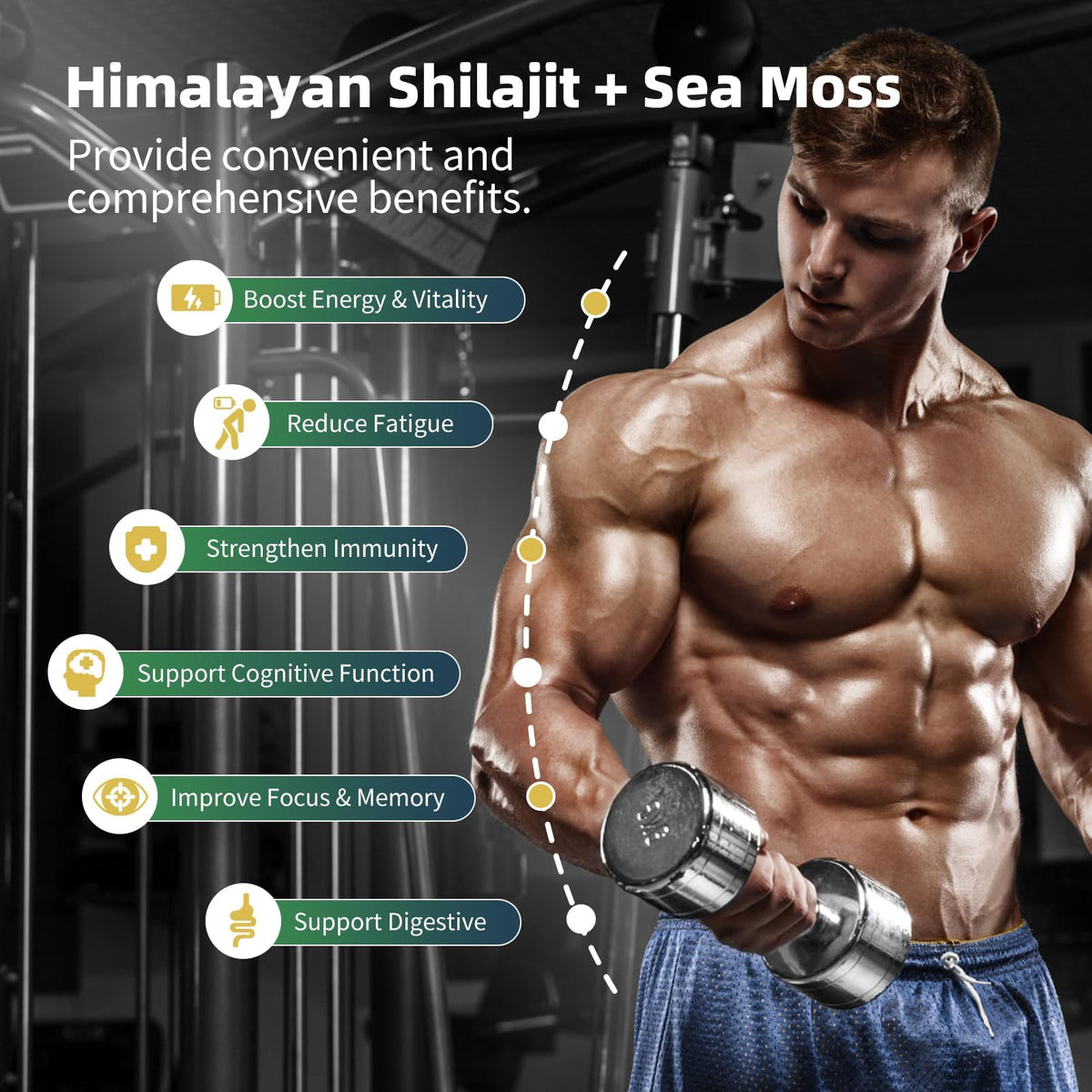BBEEAAUU Shilajit et Mousse de Mer 240 capsules, prise en main