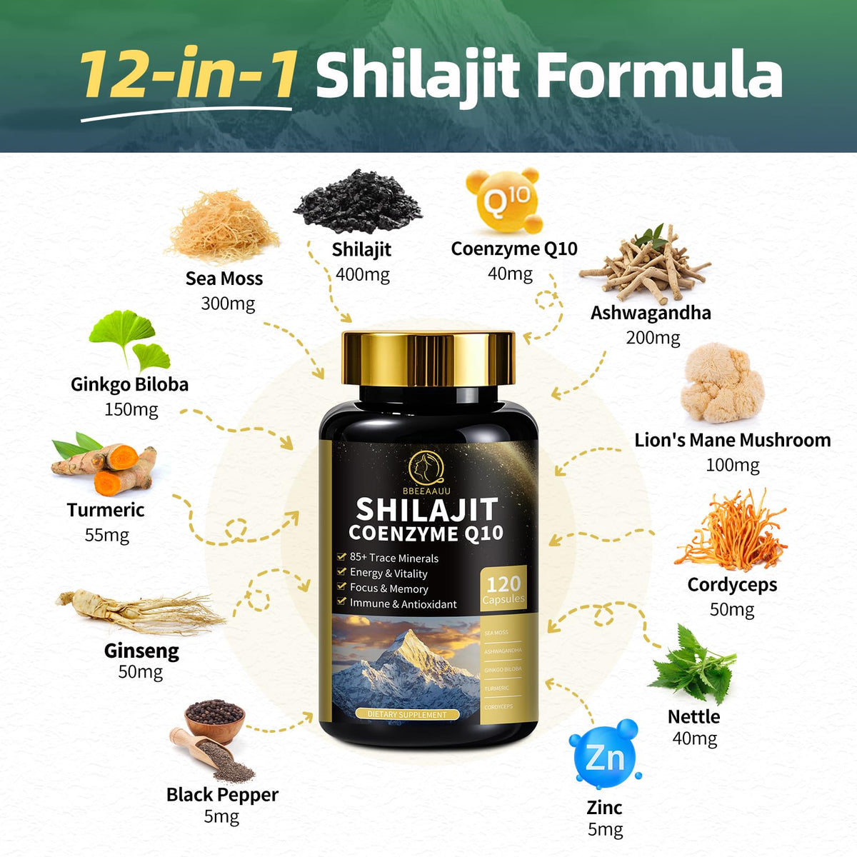 BBEEAAUU Shilajit et Mousse de Mer 240 capsules, vue arrière