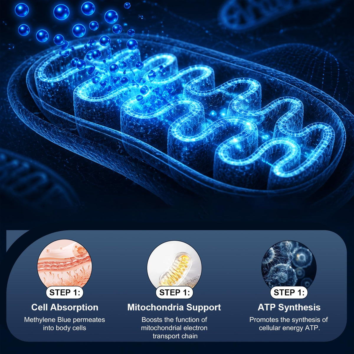 Bcuelov Gummies Methylene Blue 5mg à côté d'une main tenant un gummy