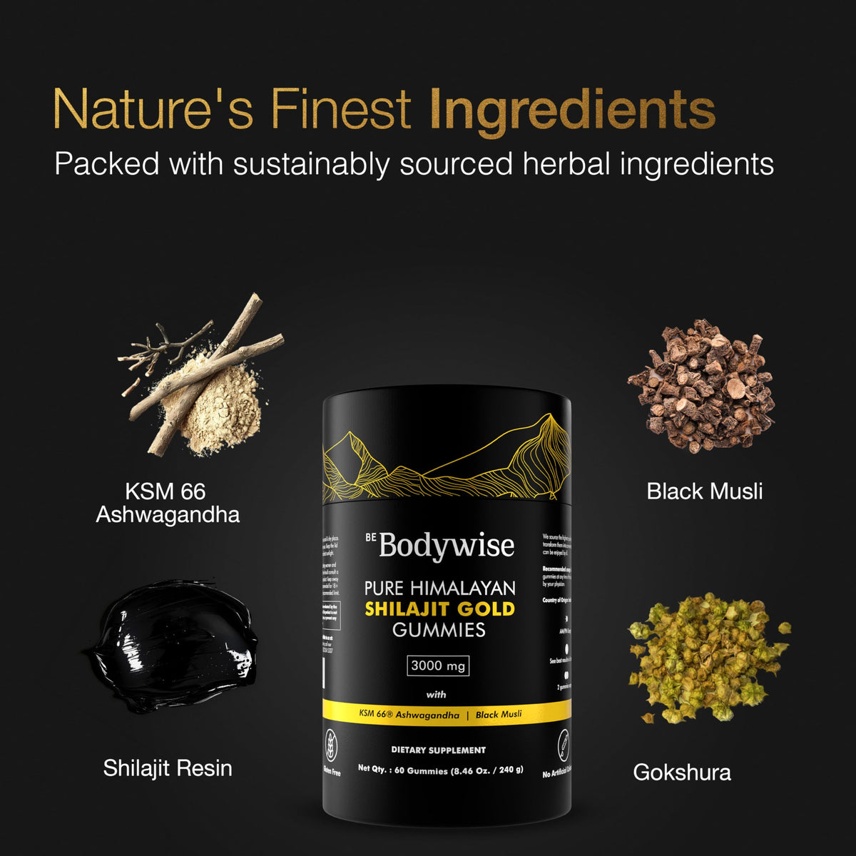 Be Bodywise Gummies Shilajit packaging arrière
