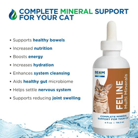 BEAM Minerals Compléments Minéraux Complets pour Chats 4 fl Oz sur une surface