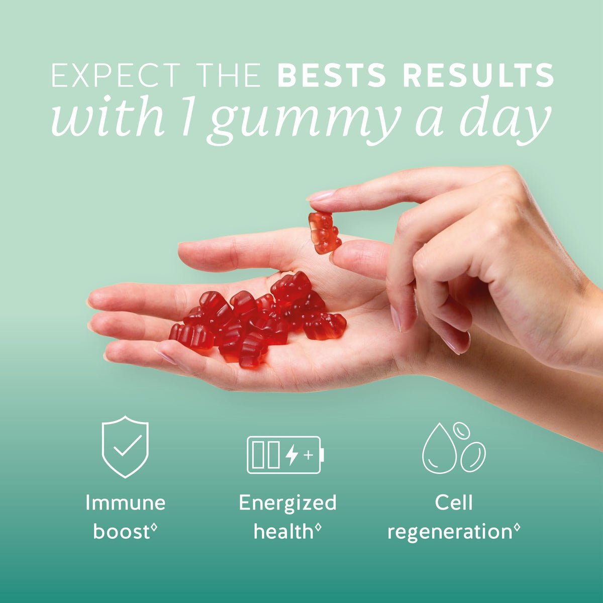 Bears with Benefits Gummies Multivitamines 109g arrière de l'emballage