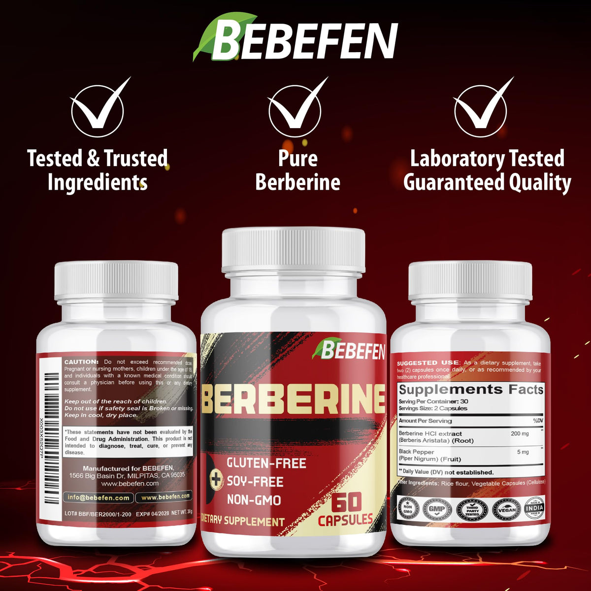 BEBEFEN Berberine HCL 60 Capsules Végétales avec ingrédients naturels
