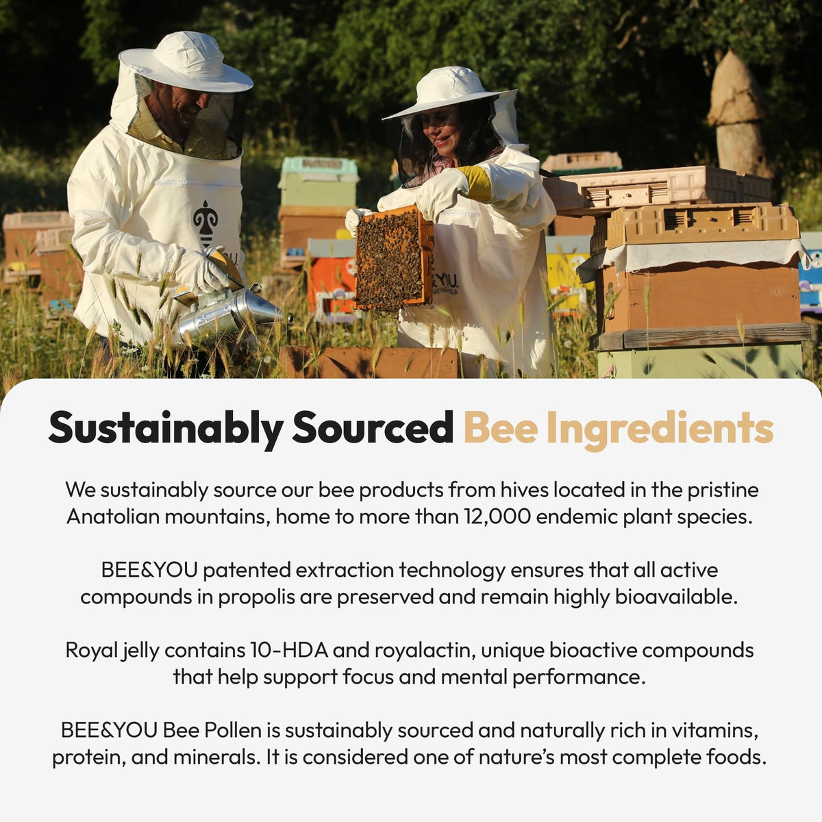 BEE & YOU Gelée Royale, présentation du produit dans un cadre naturel