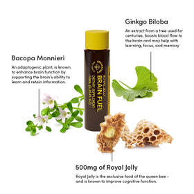 Beekeeper's Naturals Gelée Royale Énergie Cérébrale 6ct avec arrière-plan naturel