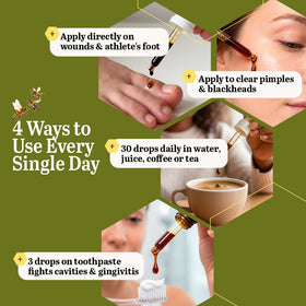 Beelife Extrait de Propolis Vert Brésilien goutte à goutte