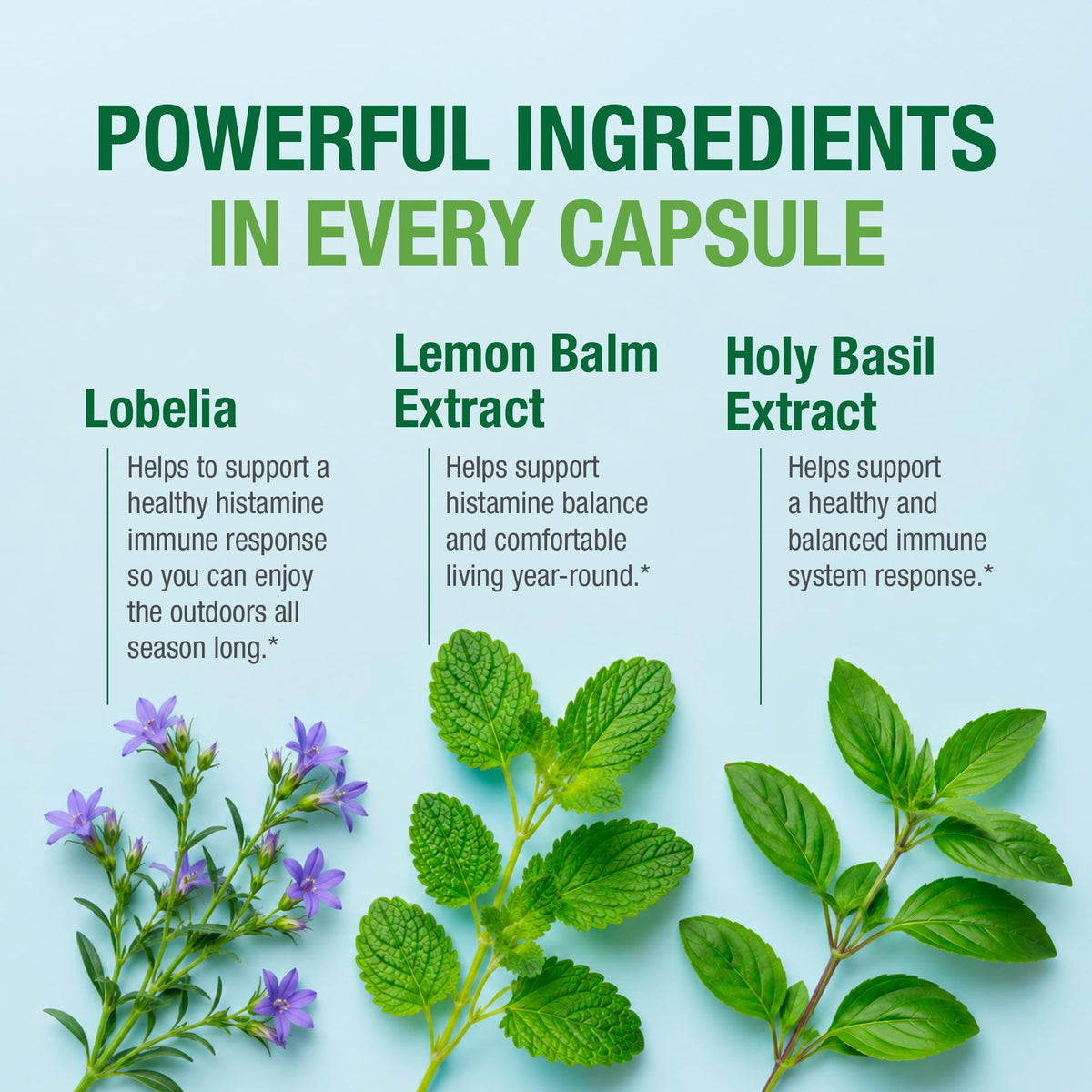 Bell Complément Alimentaire Histamine, emballage et capsules