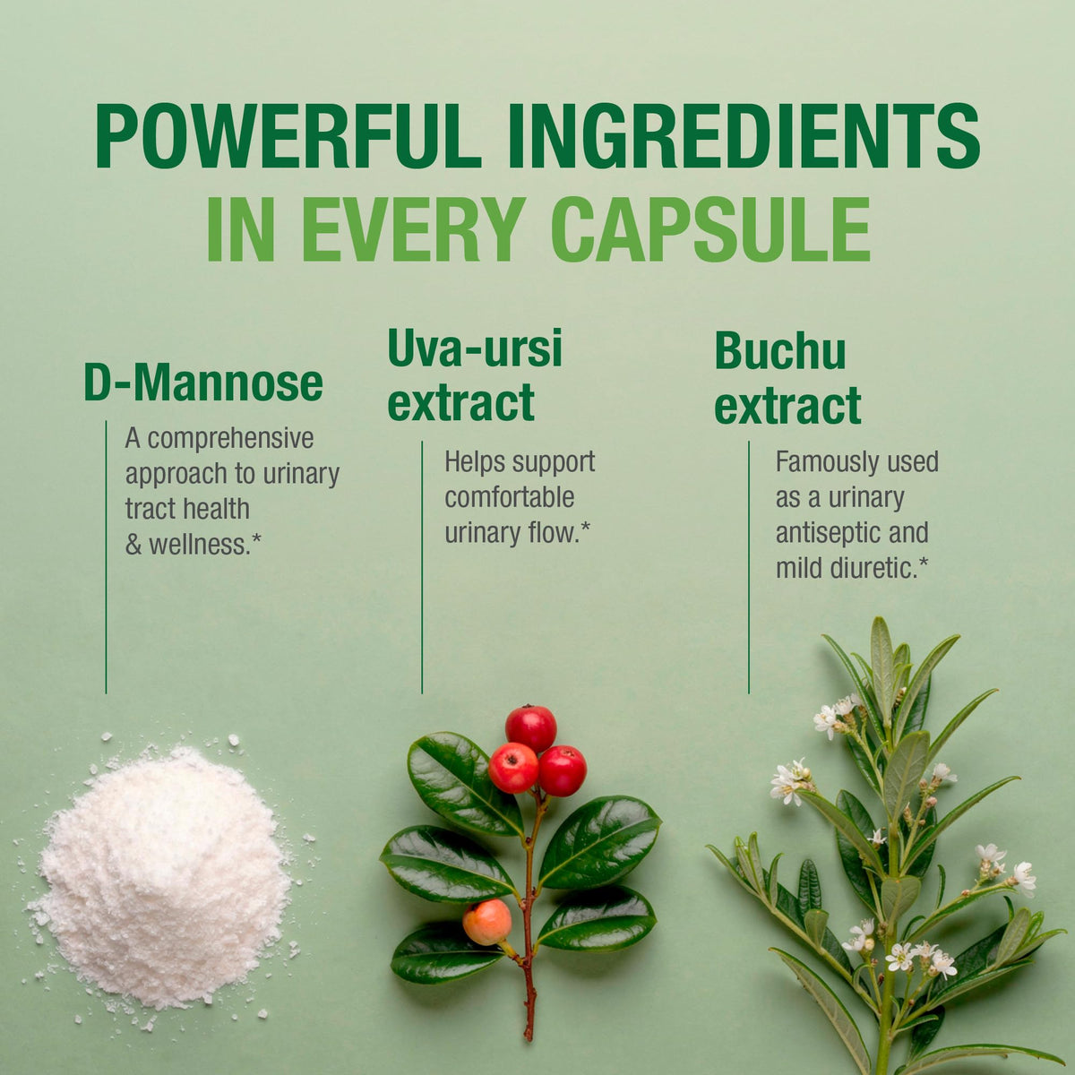 Bell Équilibre Urinaire D-Mannose capsules sur une table