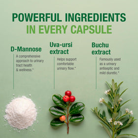 Bell Équilibre Urinaire D-Mannose capsules sur une table
