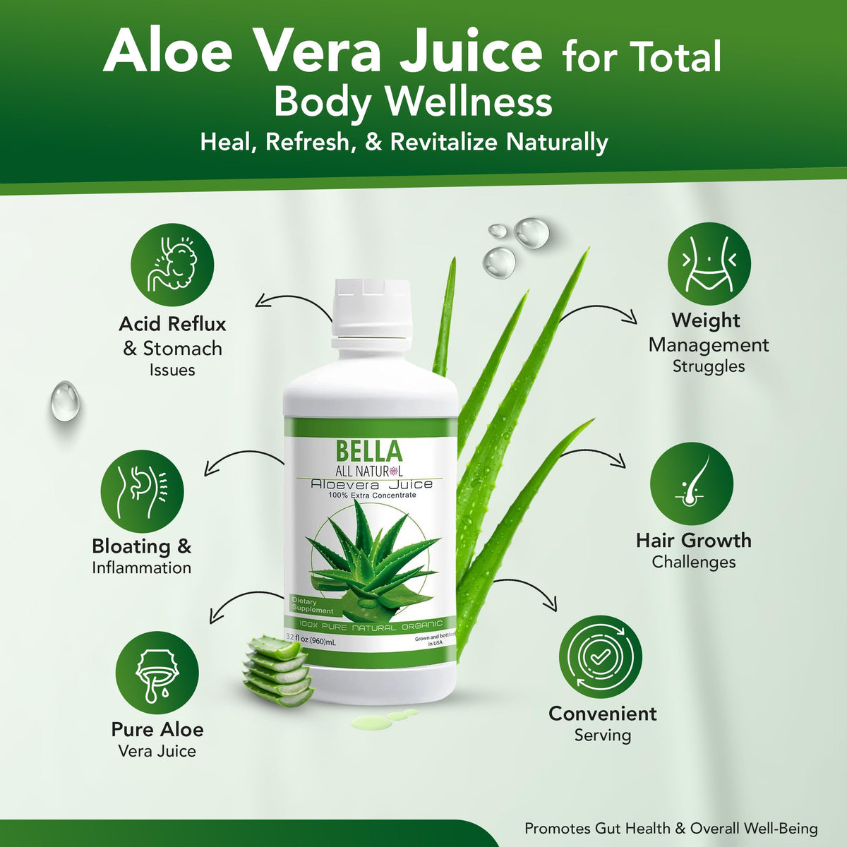 Bella All Natural Jus d'Aloe Vera 946 ml - vue de dos