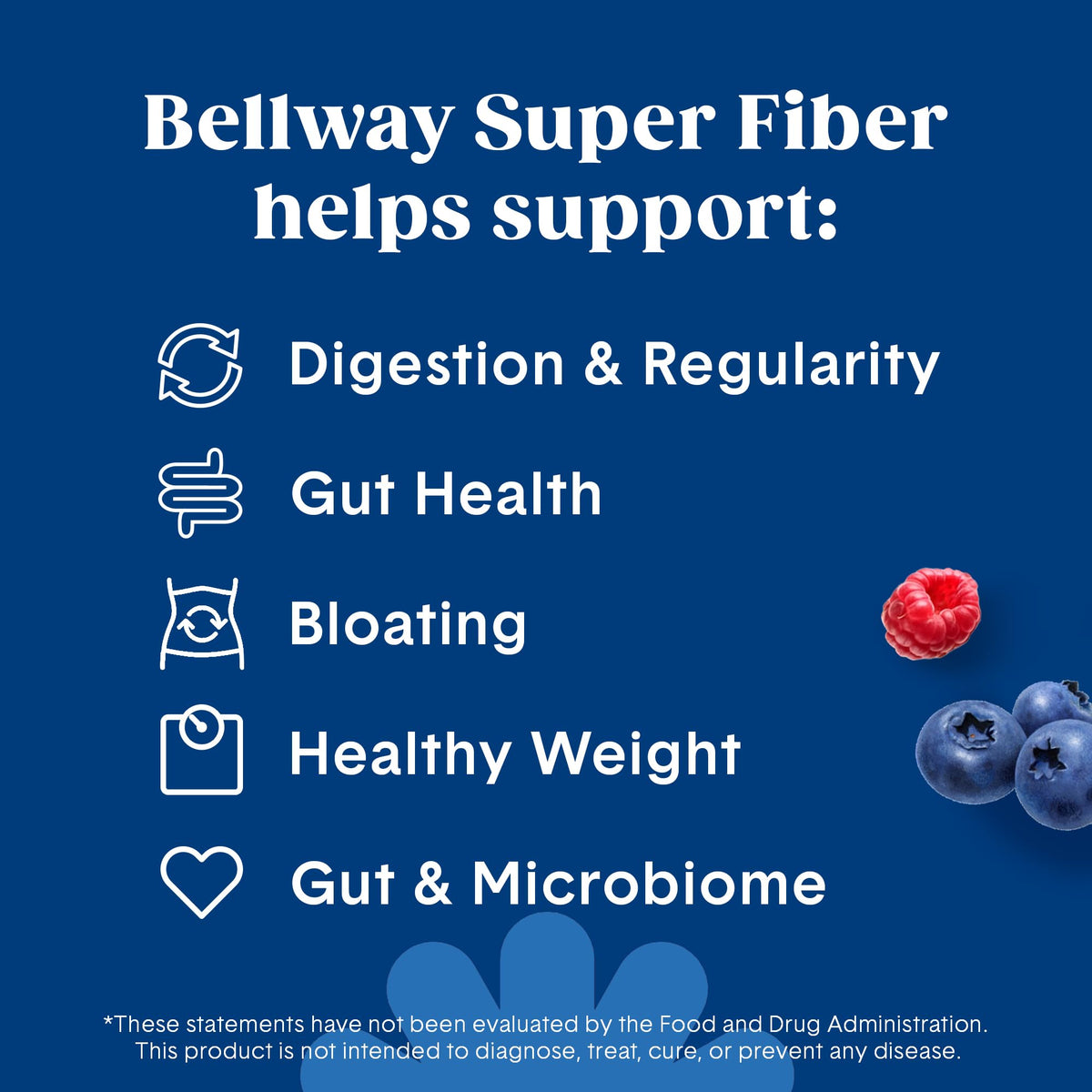 Bellway Super Fiber + Fruit Poudre de Psyllium Bio 431g en utilisation dans un smoothie