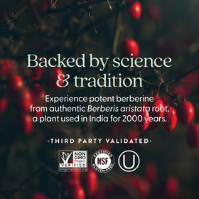 Berbérine 1000 mg New Chapter, comprimés avec des herbes naturelles en arrière-plan