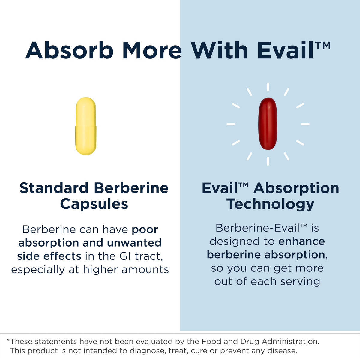 Berberine Evail Designs for Health emballage arrière