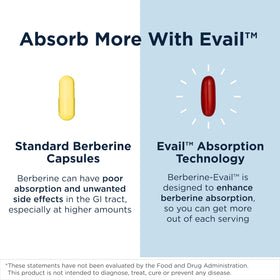 Berberine Evail Designs for Health emballage arrière