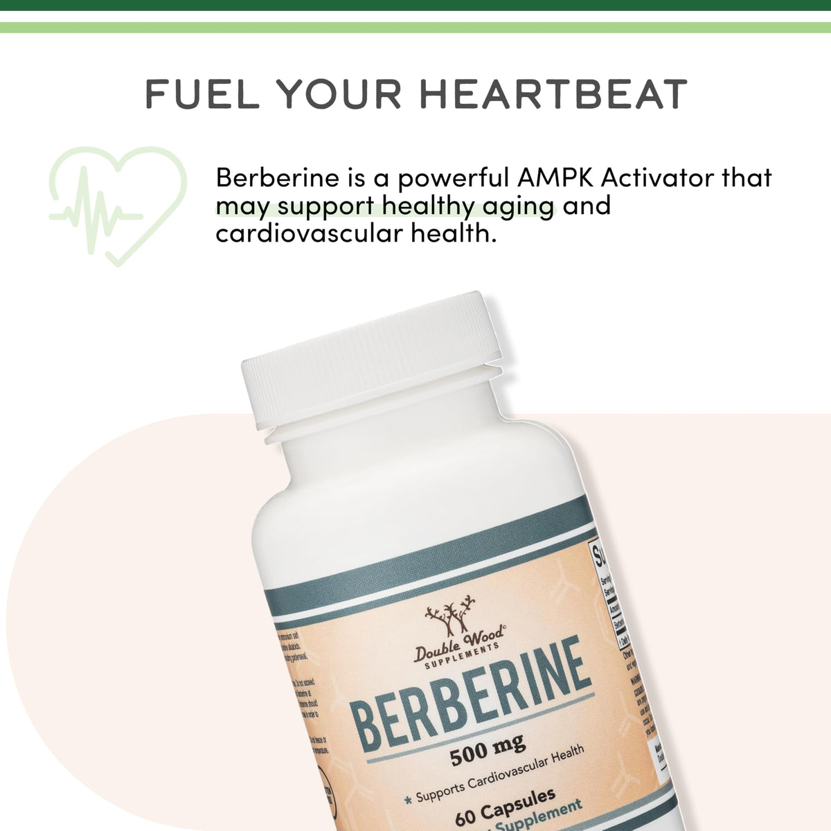 Berberine HCl 500mg Double Wood Supplements, vue de dos de l'emballage