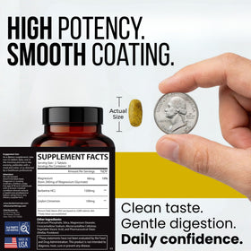 Berberine Mojo comprimés de berberine et magnésium glycinate