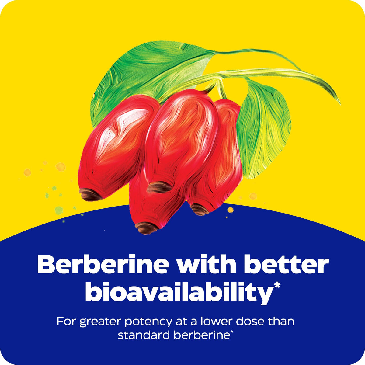 Berberine Phytosome d'Enzymedica sur une table en bois