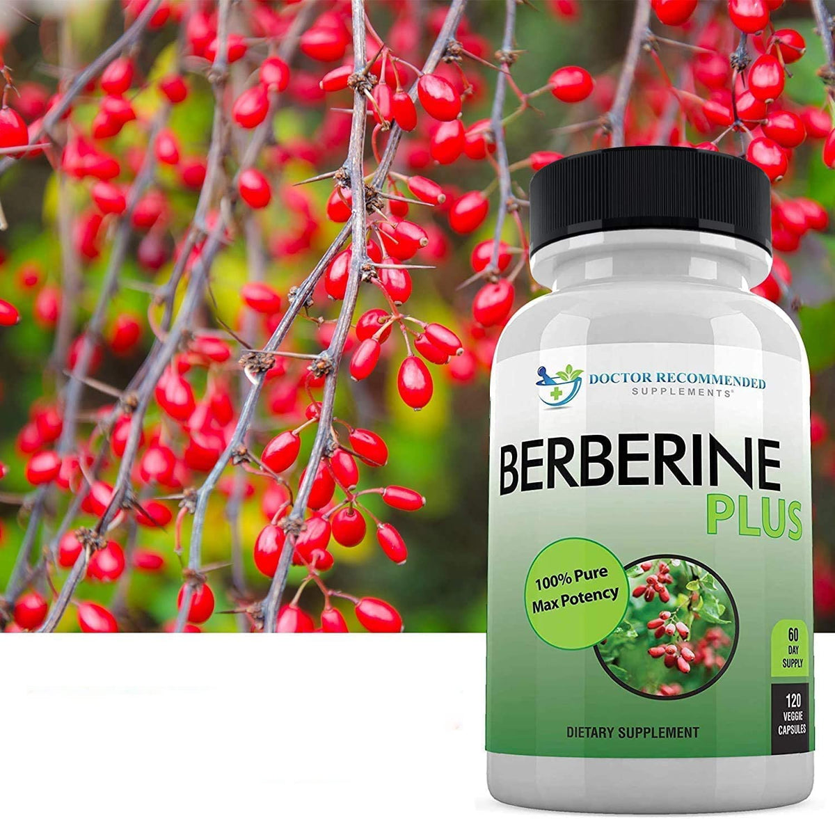 Berberine Plus 1200mg étiquette avec ingrédients