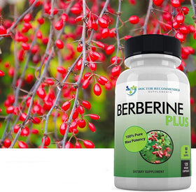 Berberine Plus 1200mg étiquette avec ingrédients