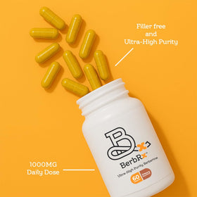 BerbRx Berbérine HCl 1000mg capsules végétales avec étiquette en gros plan
