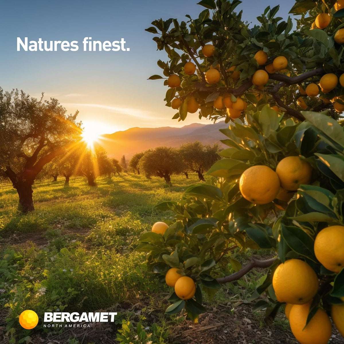 BergaMet Citrus Bergamot capsules avec verre d'eau