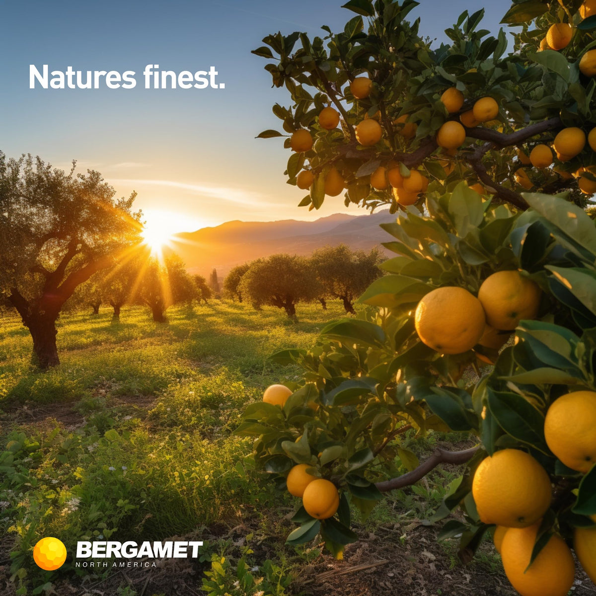 BergaMet Complément Alimentaire Bergamote Citrine 1200mg sur une table