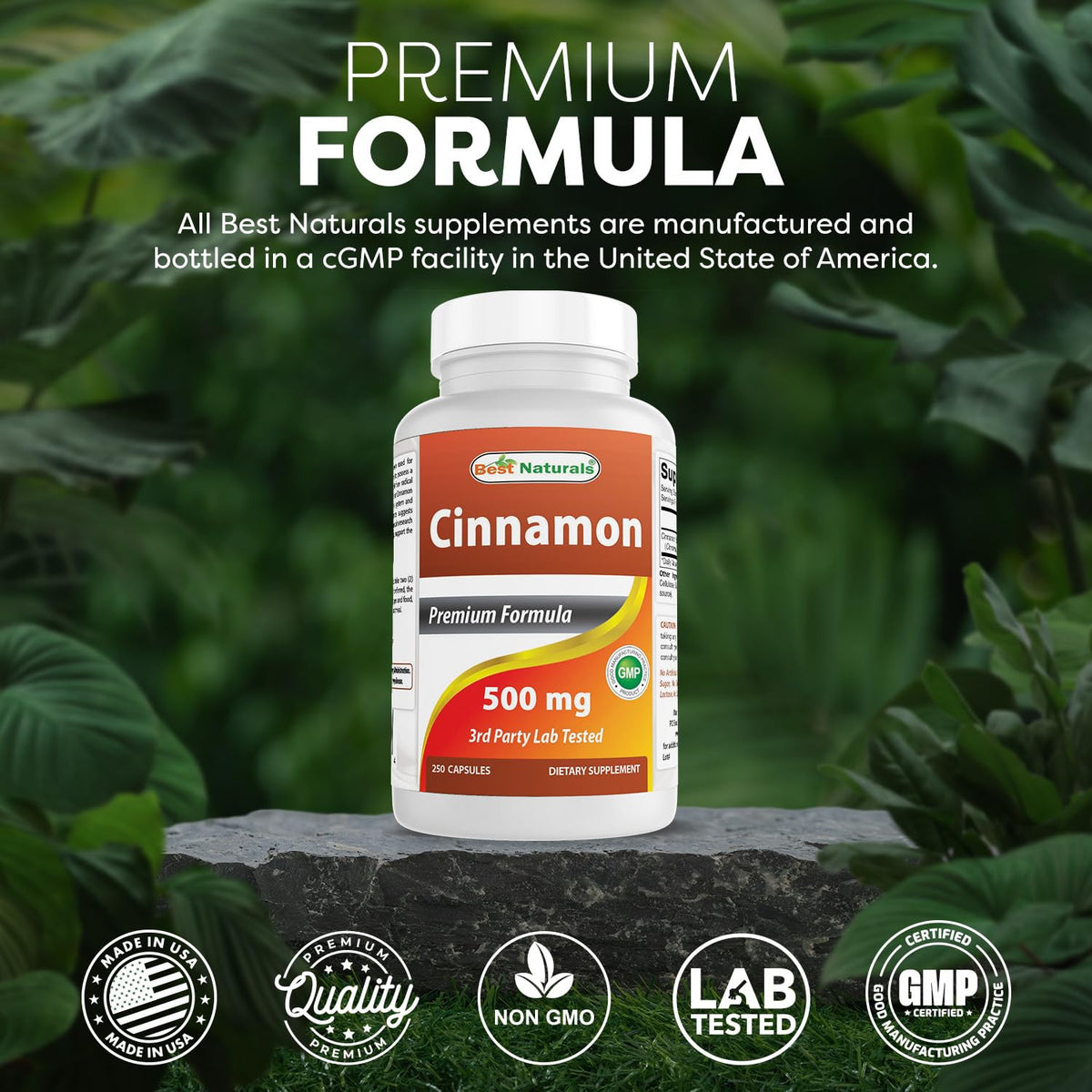Best Naturals 250 capsules de cannelle sur un fond naturel