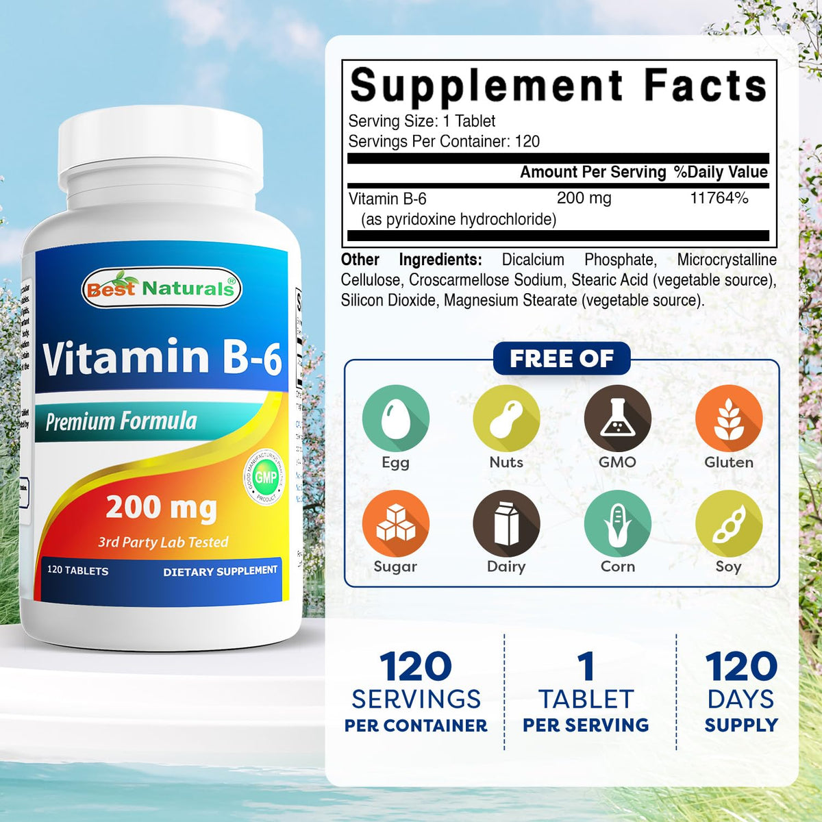 Best Naturals B6 200 mg comprimés avec étiquette