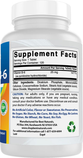 Best Naturals B6 25mg comprimés en main