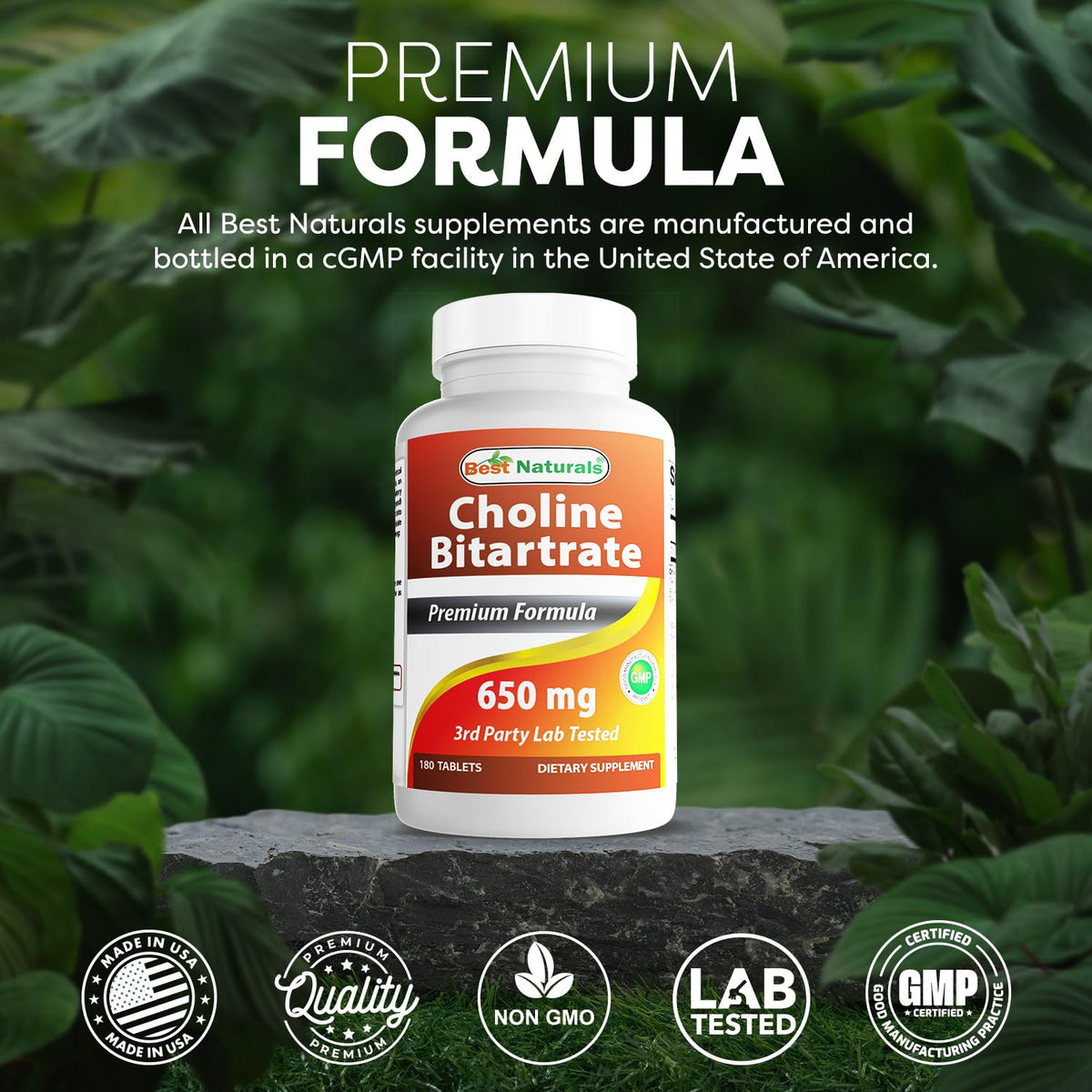 Best Naturals Choline Bitartrate 650 mg comprimés sur une surface