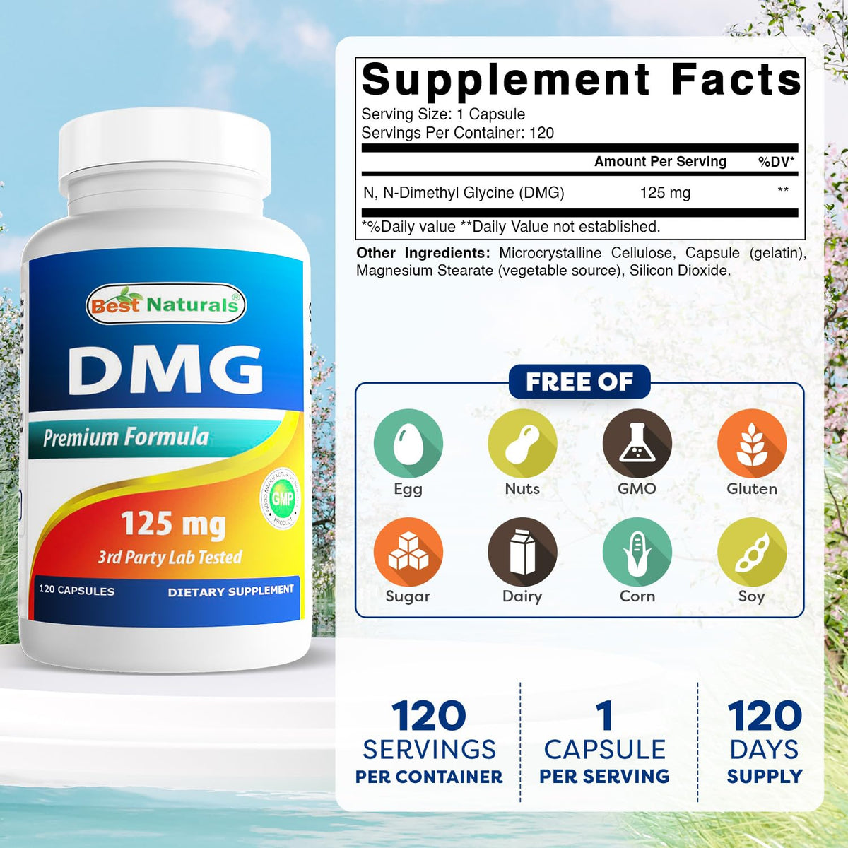 Best Naturals DMG 125 mg 120 Capsules - Détail des ingrédients