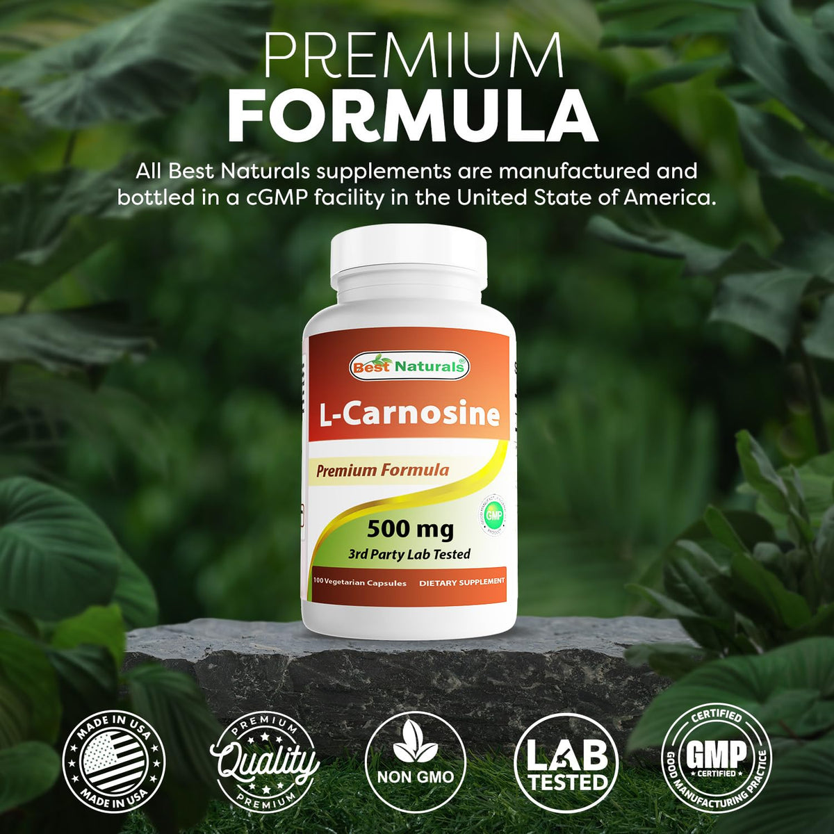 Best Naturals L-Carnosine 500 mg 100 Vcaps dosage recommandé