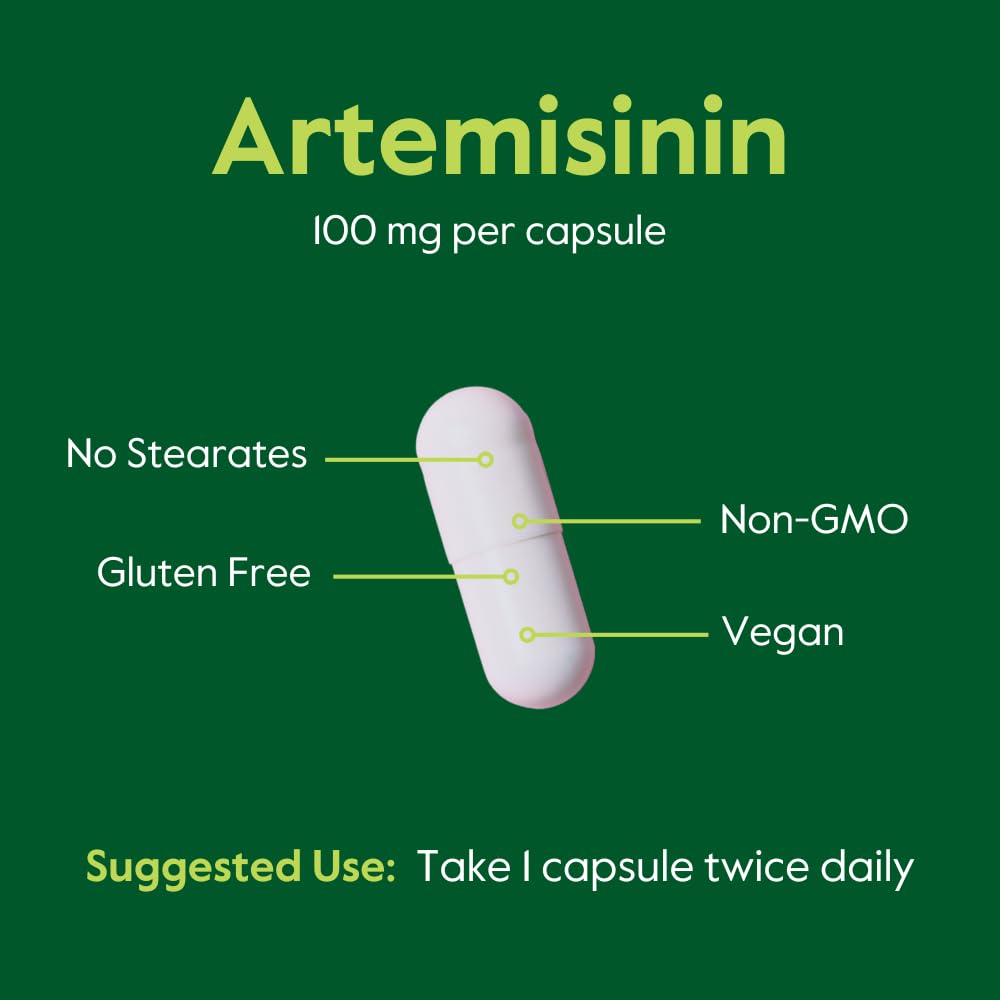 BESTVITE Artemisinin 100mg 120 Veg Caps - capsules sur fond blanc