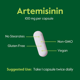 BESTVITE Artemisinin 100mg 120 Veg Caps - capsules sur fond blanc