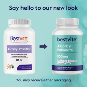 BESTVITE Ascorbyl Palmitate 500mg, capsules végétales dans la main