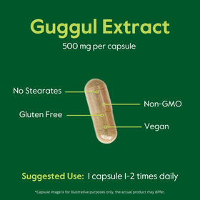 BESTVITE Extrait de Guggul 500mg - flacon sur fond blanc