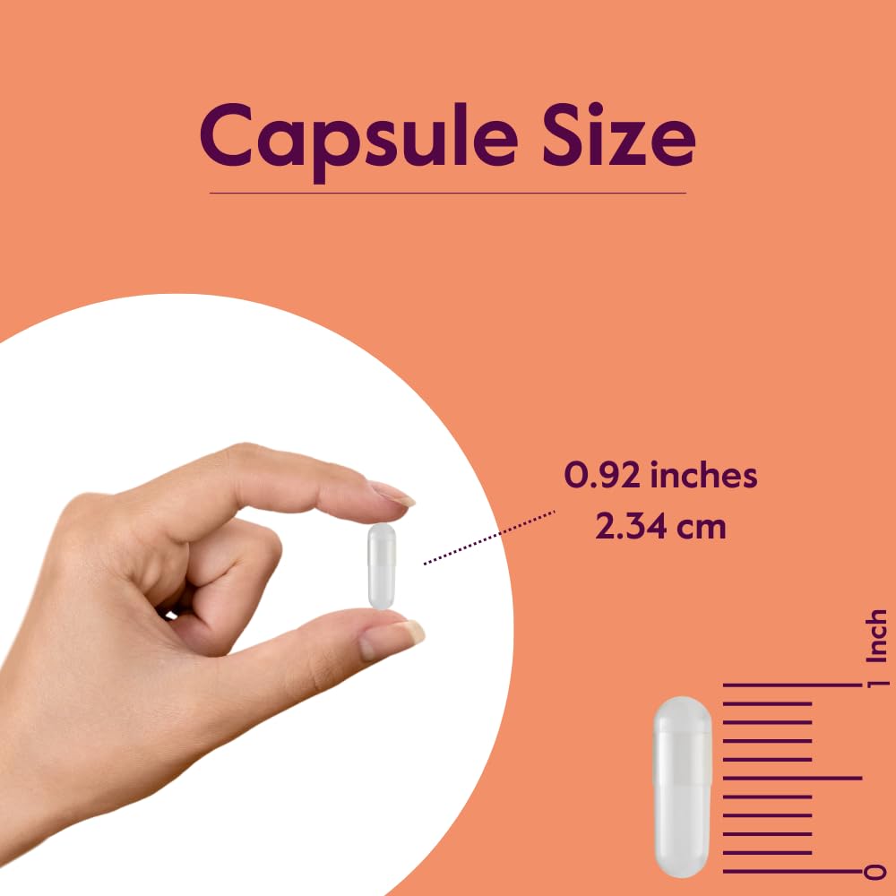 BESTVITE L-Leucine 500mg ingrédients