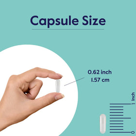 BESTVITE Mélatonine 20mg capsules ouvertes