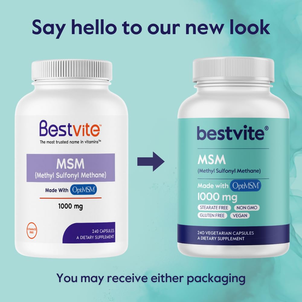 BESTVITE MSM 1000mg capsules en main