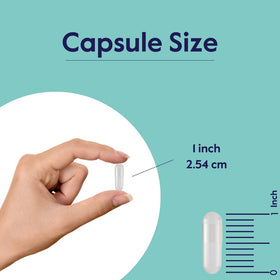 BESTVITE MSM 1000mg capsules ouvertes montrant la taille