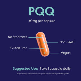 BESTVITE PQQ 40mg capsules végétales en main