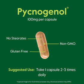 BESTVITE Pycnogenol 100mg arrière du boîtier